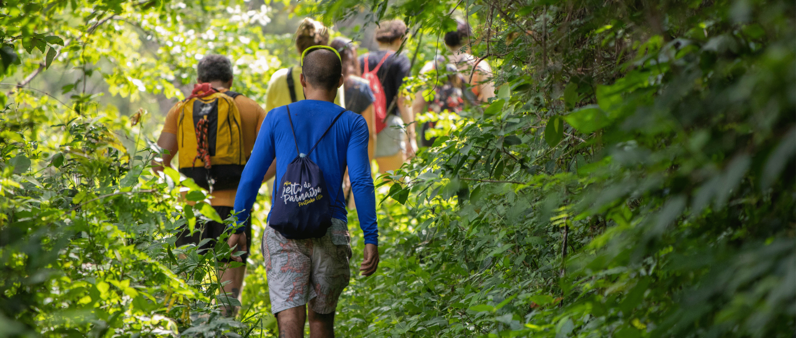 Group Walking through undergrowth