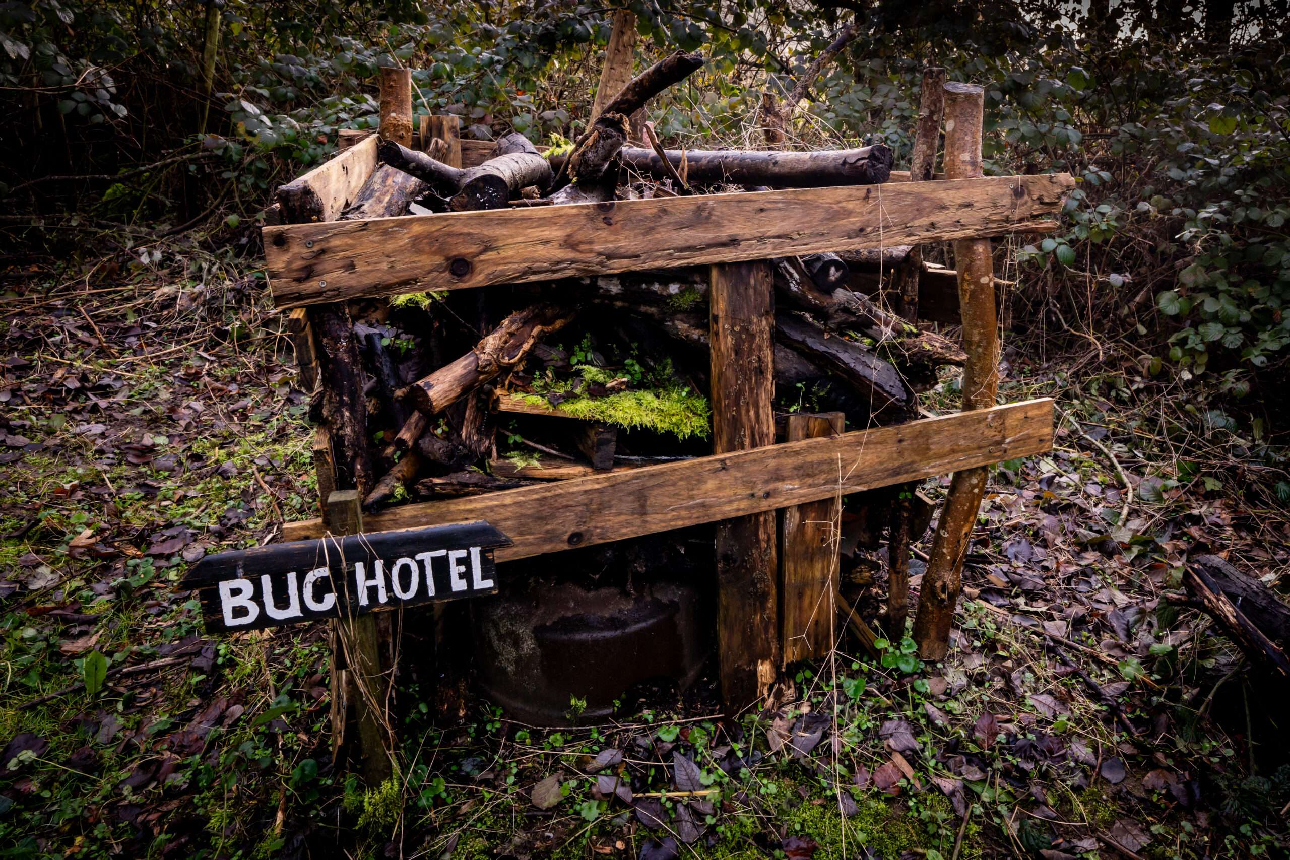 Bug hotel at Ladybelt Country Park