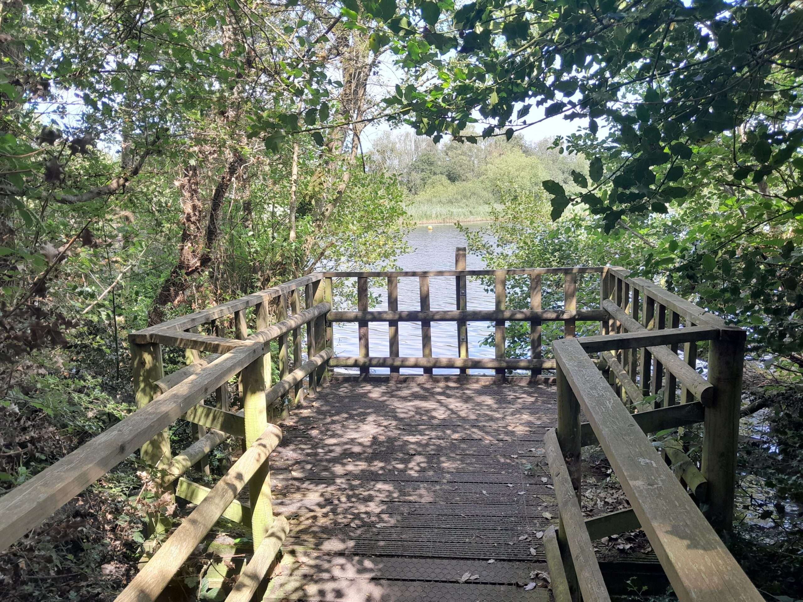 The boardwalk at Salhouse Broad