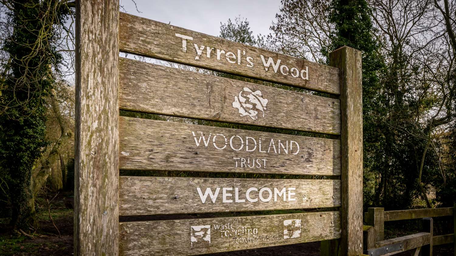 23-Tyrrels-Woodland-Others-1