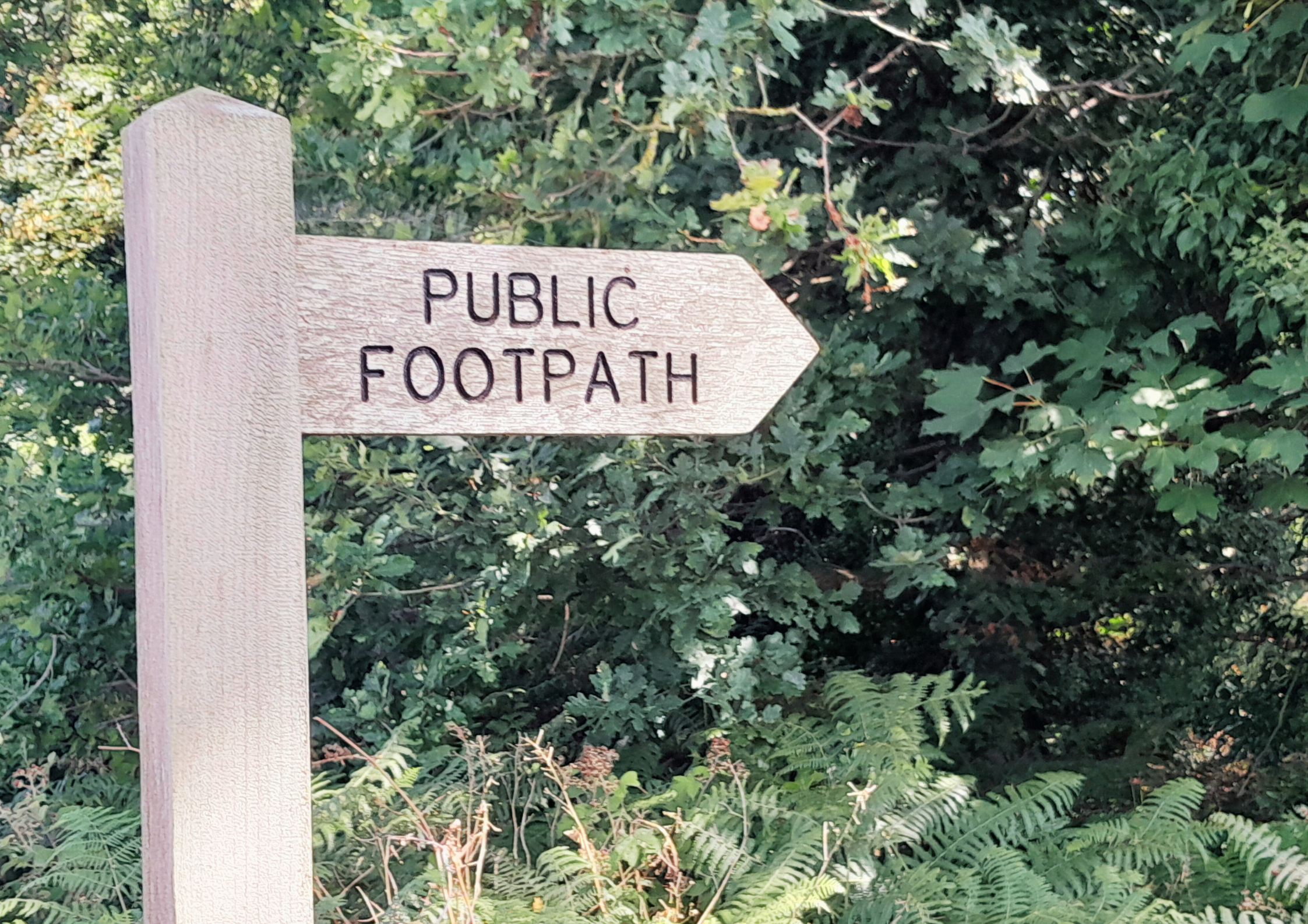 Discover the rich history of South Norfolk and Broadland through heritage walks shaped by six iconic trails. Each route reveals unique stories, landscapes, and