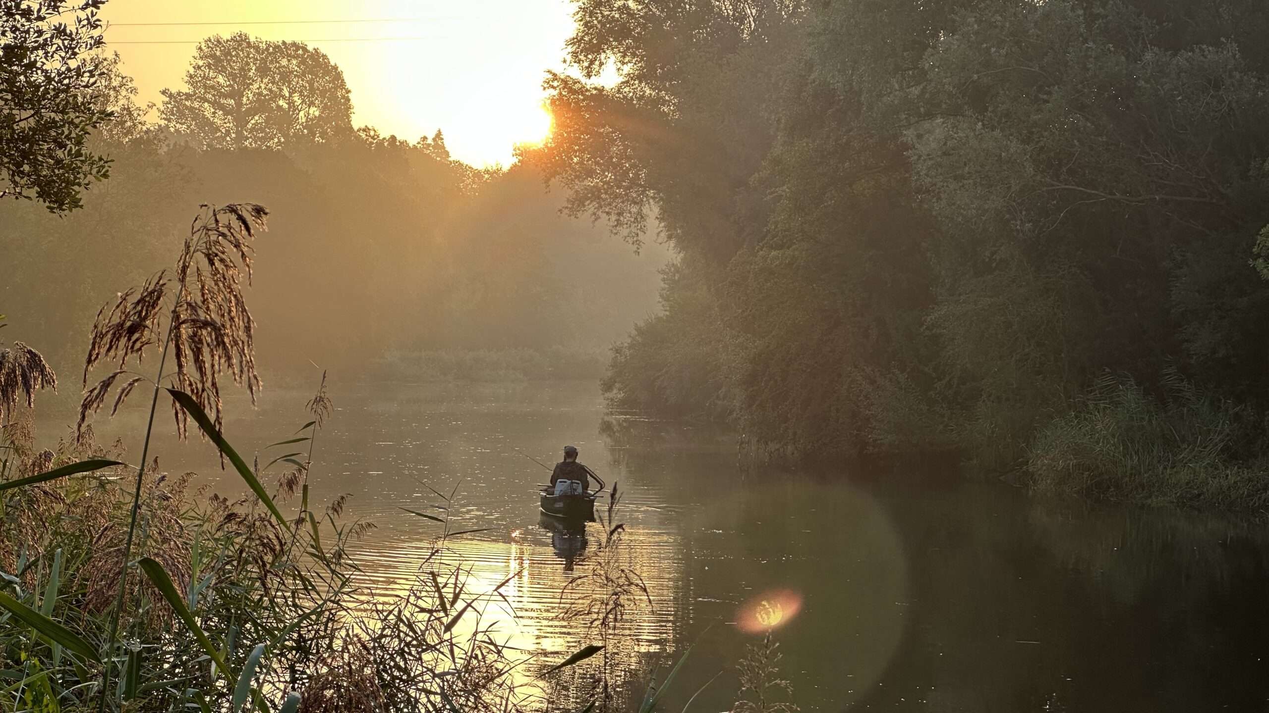 Morning sunlight filtering through riverside trees in a tranquil countryside setting.