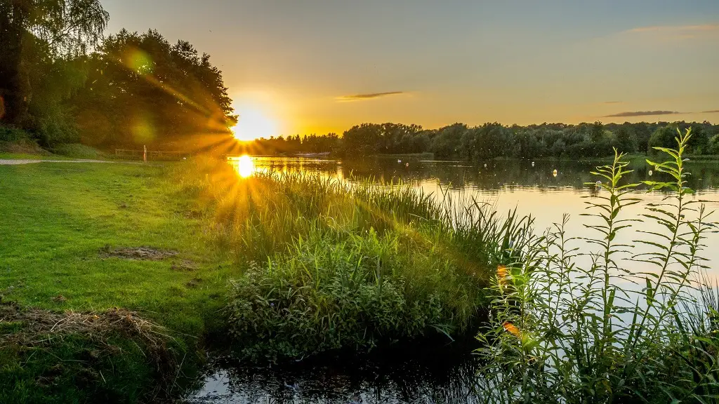 Sunrise over Whitlingham Country Park with calm water and natural landscapes.